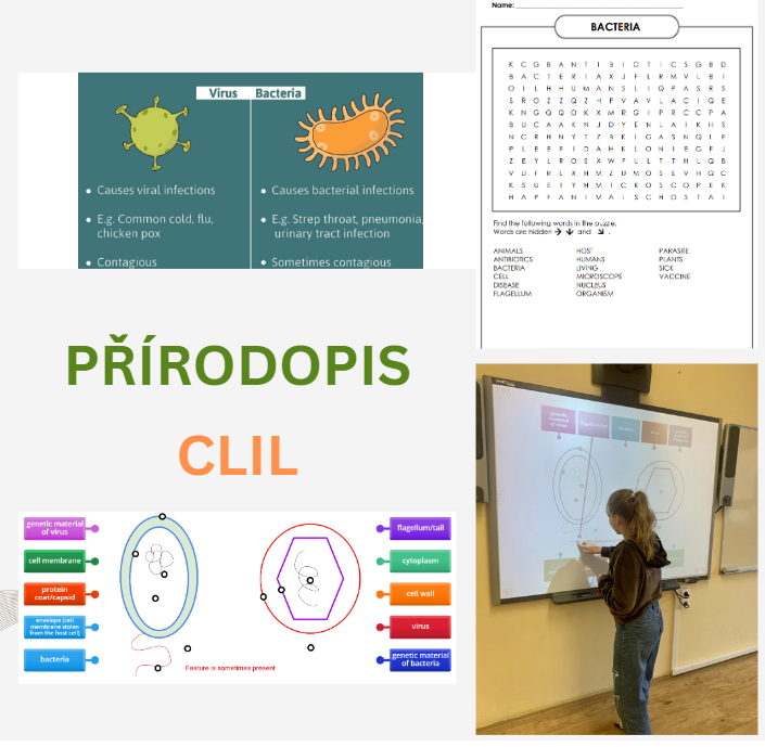 Hravý přírodopis v angličtině v 6. B – Viry a bakterie